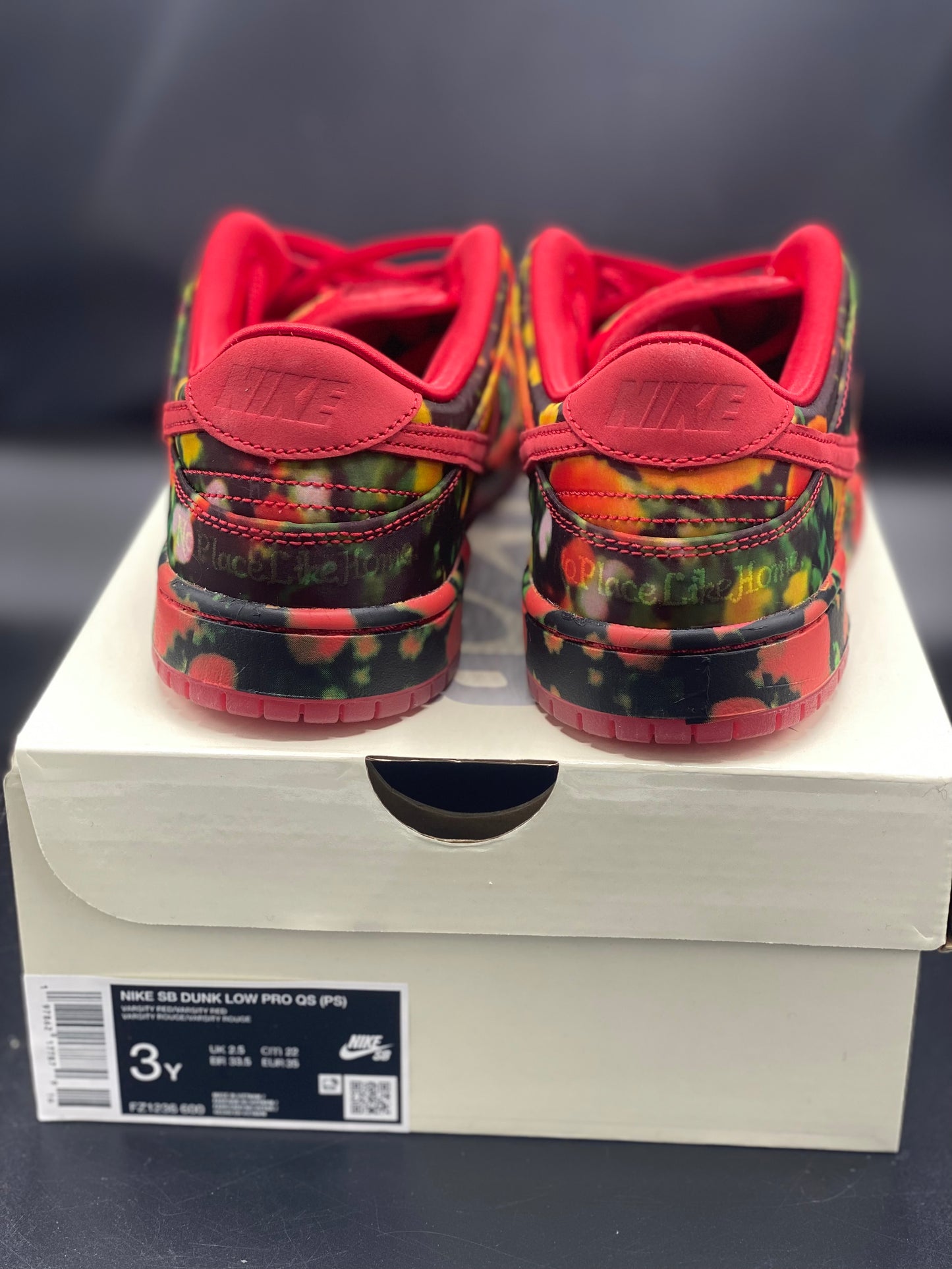 NIKE THE WIZARD OF OZ x Dunk Low Poppy Field Size 3 Y