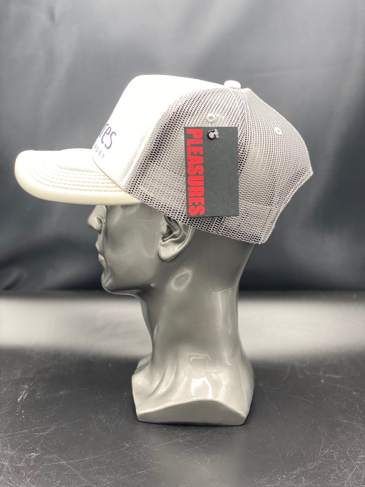 Pleasures pfunk Trucker Cap -Silver
