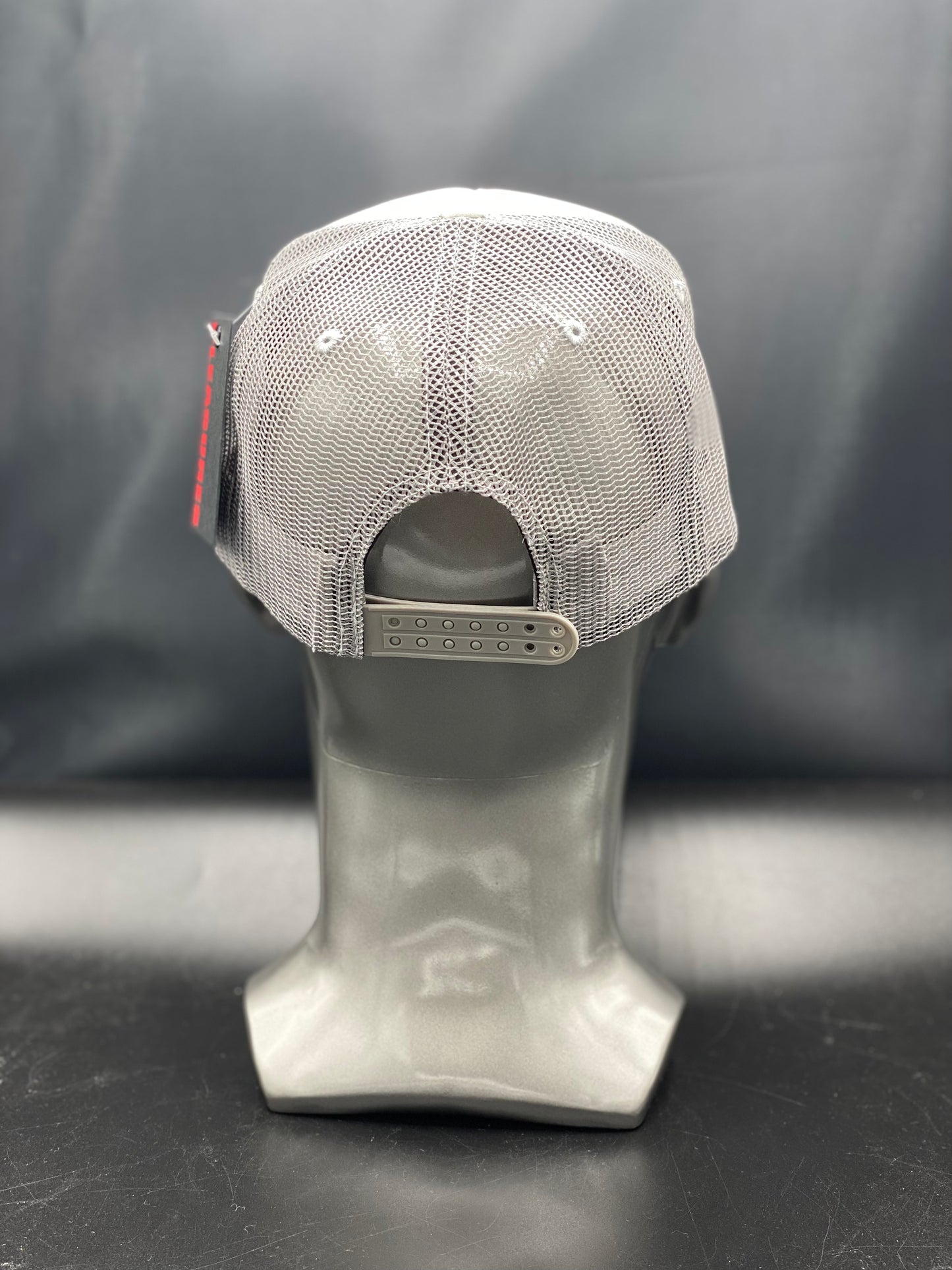 Pleasures pfunk Trucker Cap -Silver