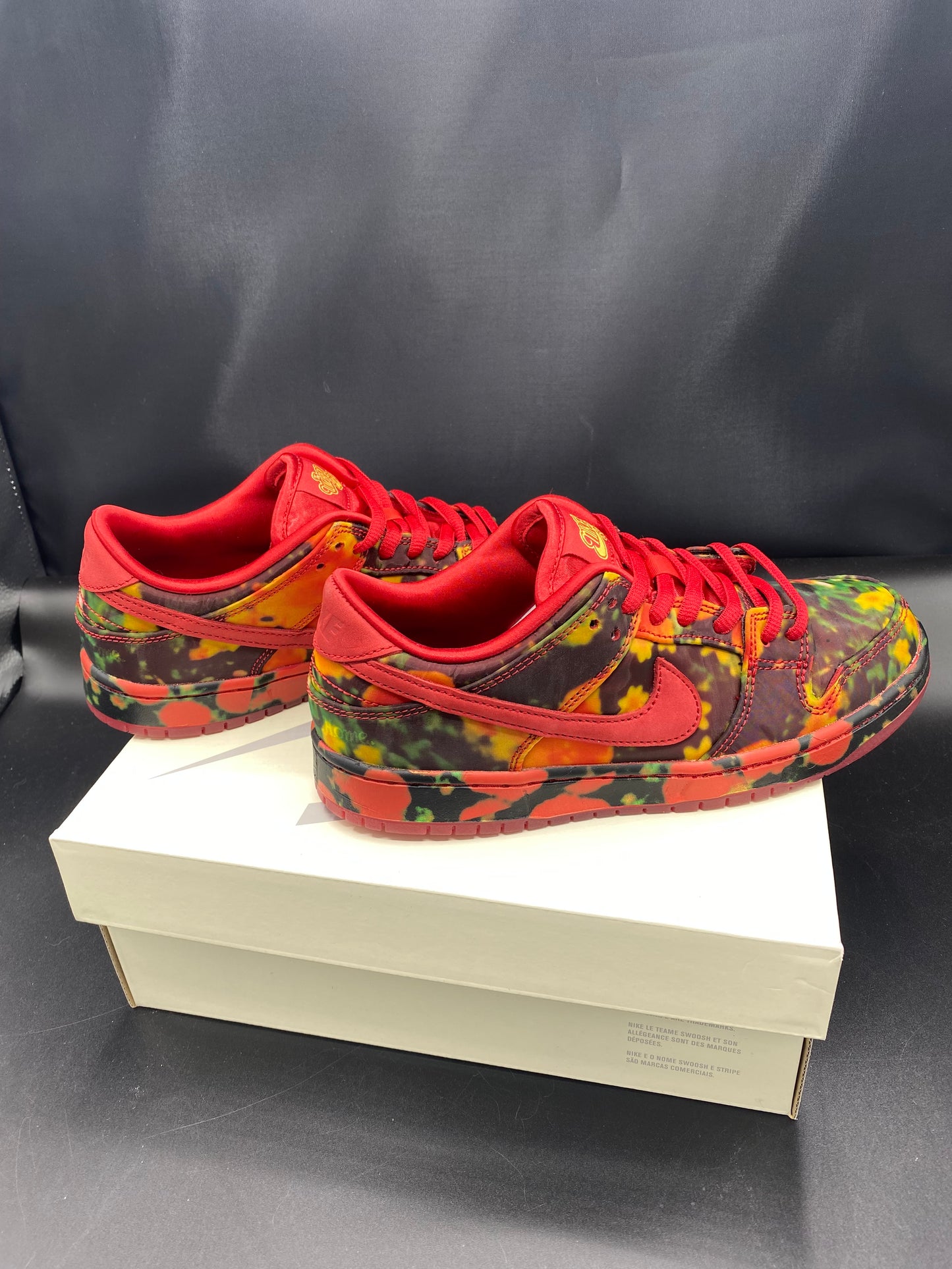 NIKE THE WIZARD OF OZ x Dunk Low Poppy Field Size Mens 9 Womens 10.5