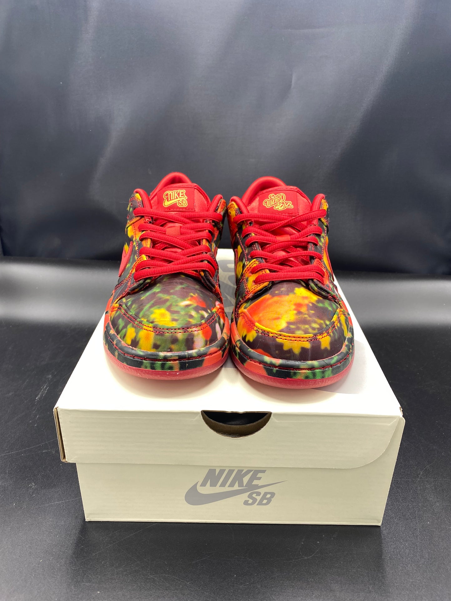 NIKE THE WIZARD OF OZ x Dunk Low Poppy Field Size 3 Y