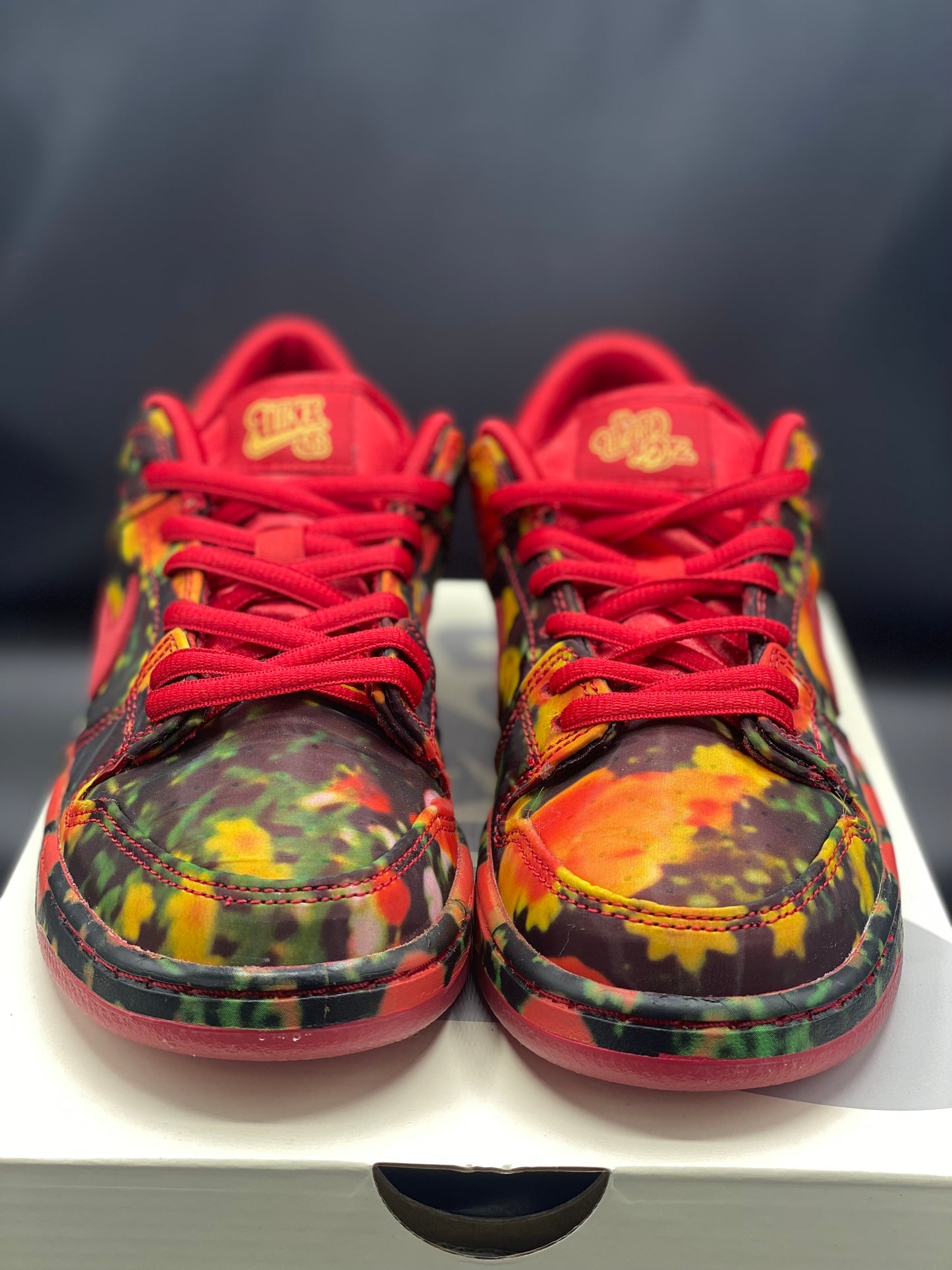 NIKE THE WIZARD OF OZ x Dunk Low Poppy Field Size 3 Y
