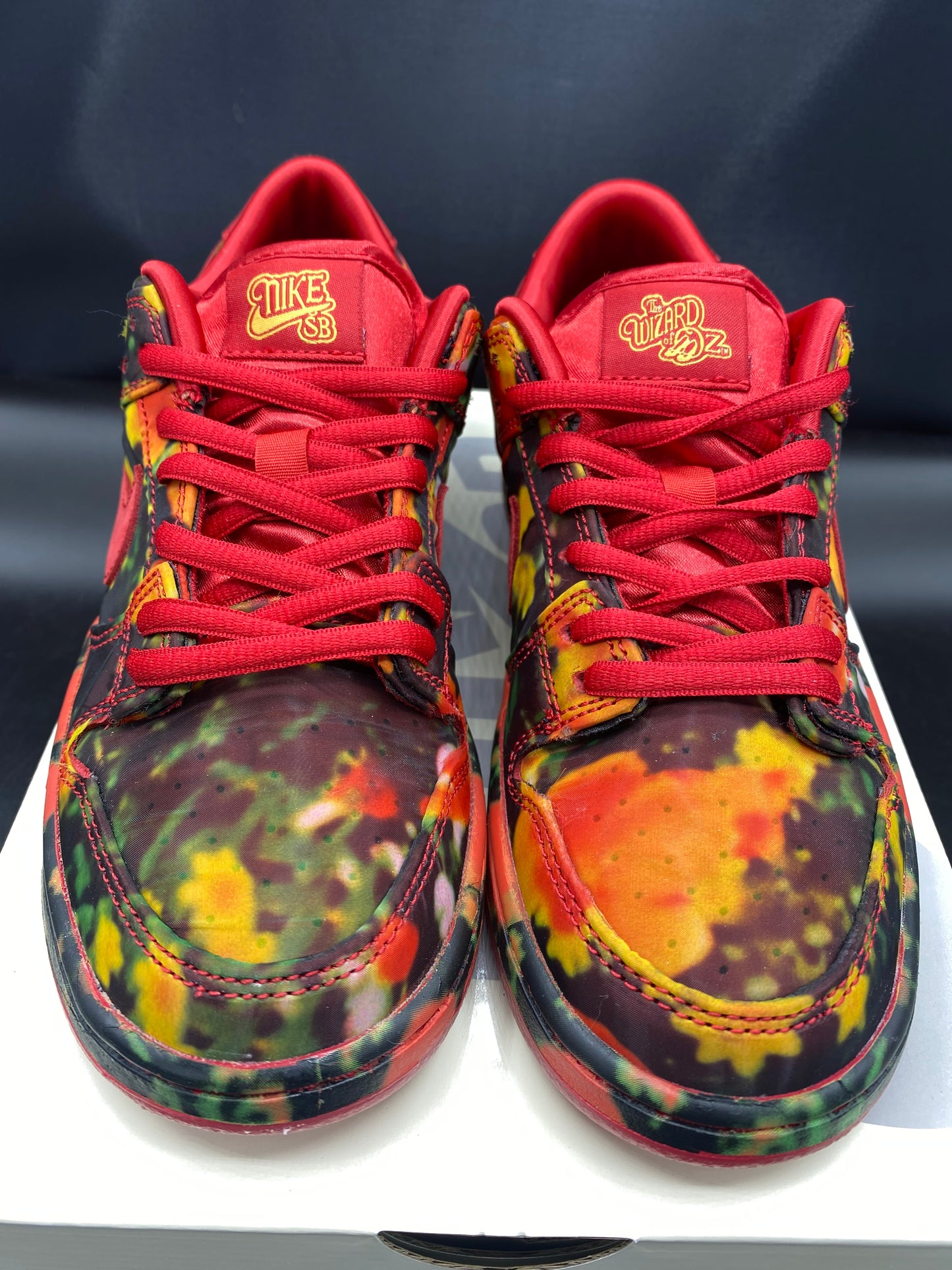 NIKE THE WIZARD OF OZ x Dunk Low Poppy Field Size 3 Y